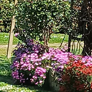 azienda-il-tizzano.it-tuscanyhotel.com/